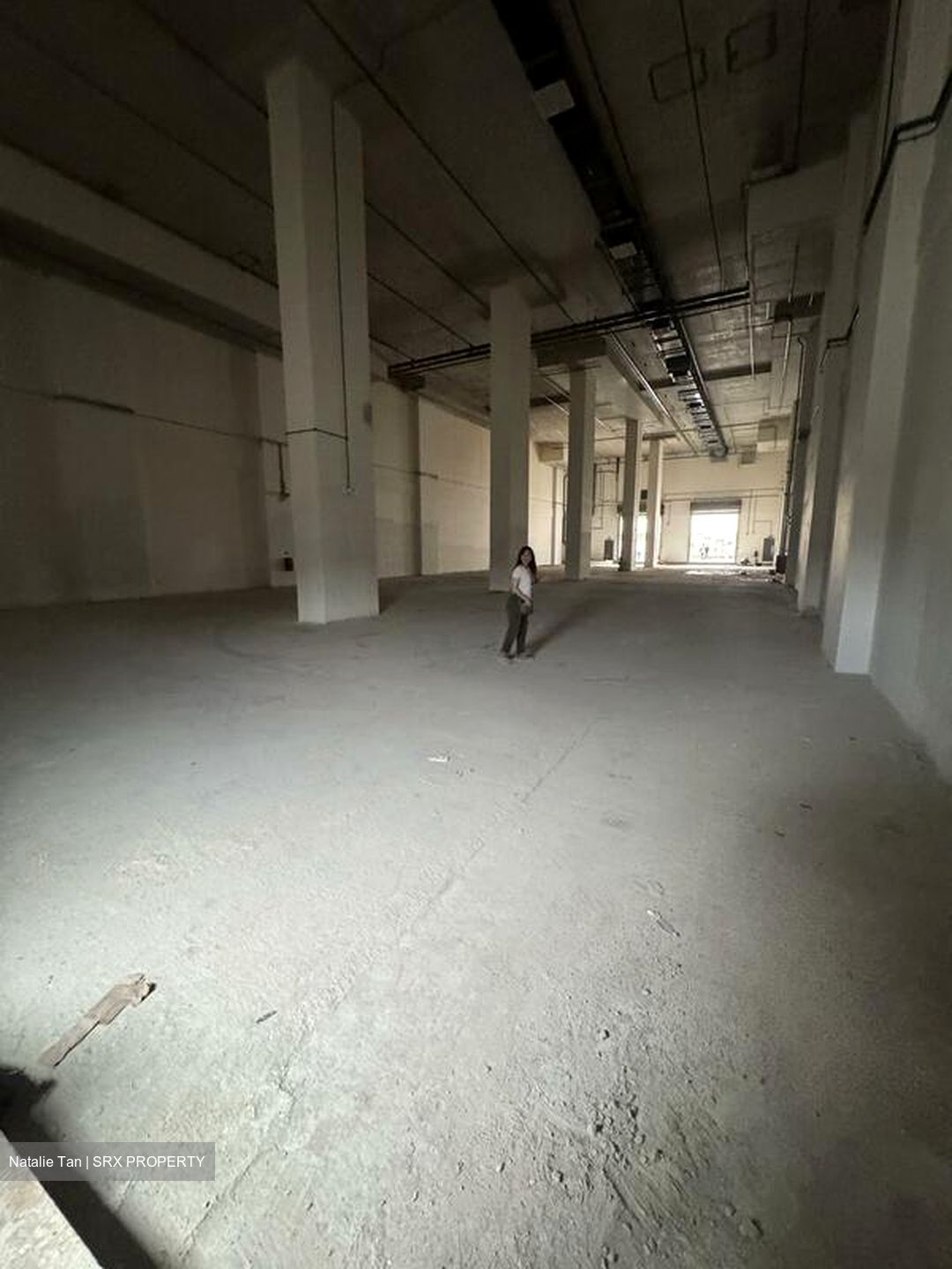 FOOD ASCENT (D22), Factory #522525151